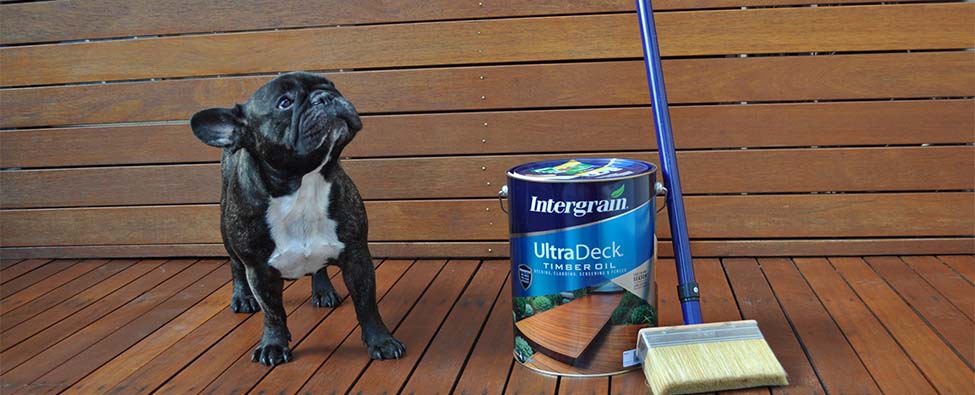 Decking for Pet Owners: How to Maintain a Pet-Friendly Outdoor Space