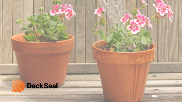 How to Protect Your Deck from Pots