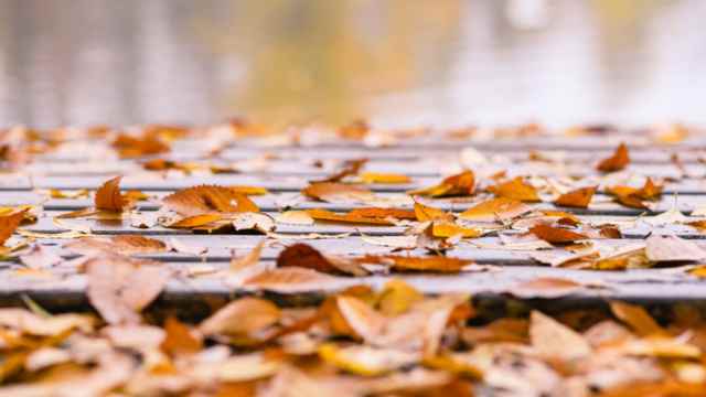 Why You Should Maintain Your Deck In Autumn