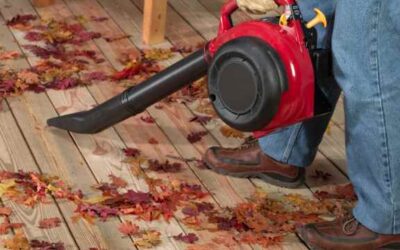The Impact of Falling Leaves on Your Deck: Prevention and Maintenance Tips
