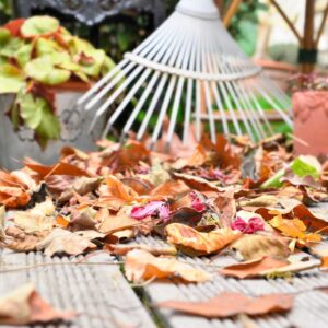 raking leaves off a deck