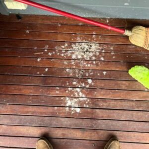 deck clean up after pigeon poo