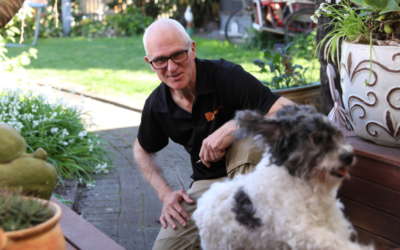 Deck Safety and Maintenance for Pet Owners