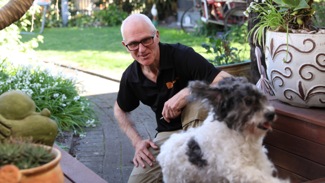 Deck Safety and Maintenance for Pet Owners