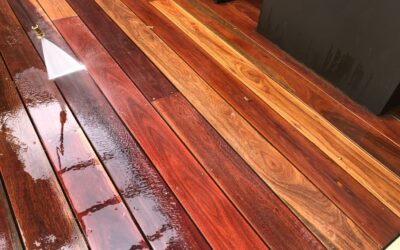 Professional Deck Cleaning in Winter: How Experts Handle Cold Weather Challenges